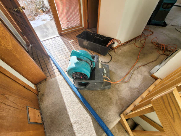 Fire Damage Restoration in Lexington, NE