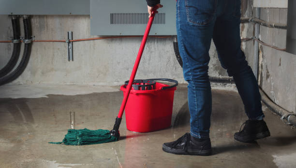  Lexington, NE Water damage restoration Pros