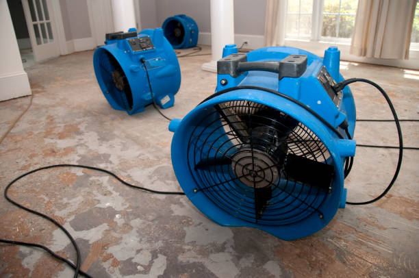 Water damage restoration process in Lexington, NE