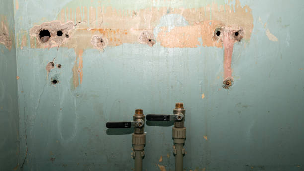 Best Commercial water damage restoration  in Lexington, NE