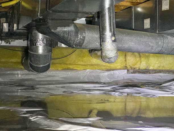 Best Water damage restoration near me  in Lexington, NE