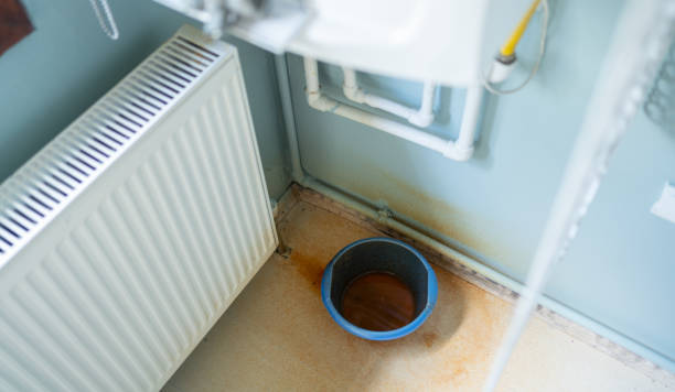 Best Local water damage restoration  in Lexington, NE