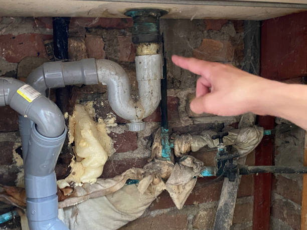 Best Emergency water extraction  in Lexington, NE