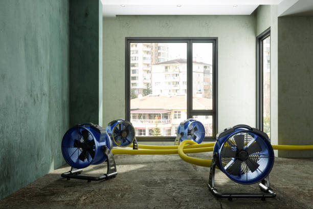 Best Professional water damage repair  in Lexington, NE