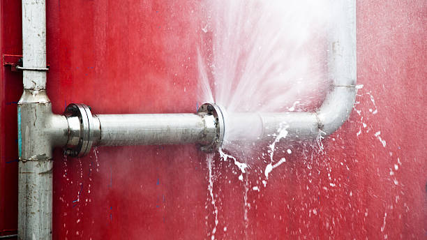 Best Professional water damage repair  in Lexington, NE